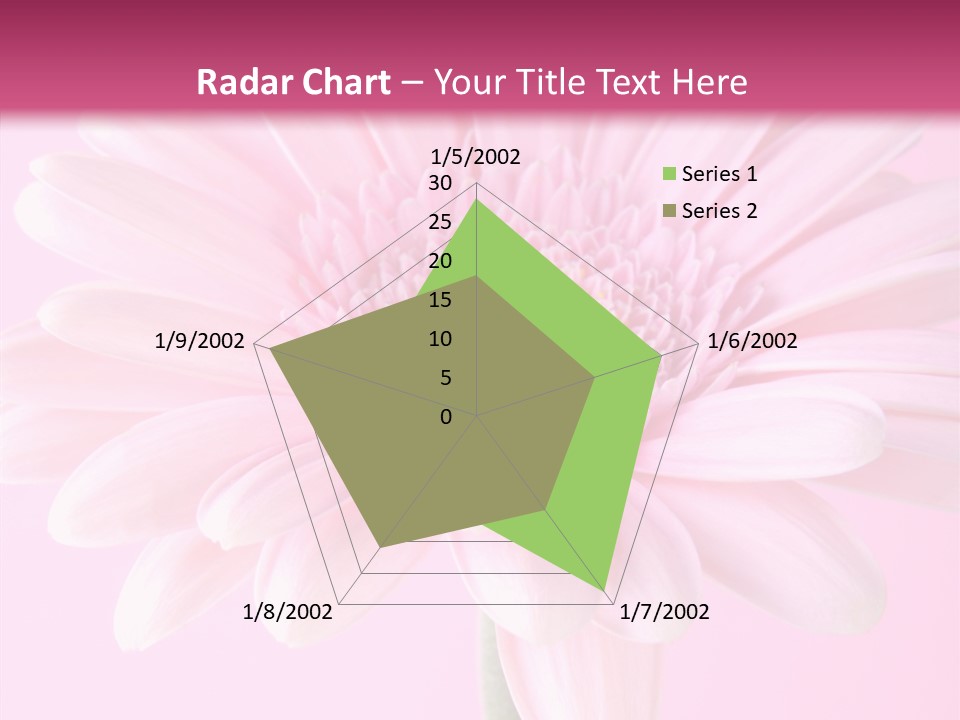 Daisy Circle Gerbera PowerPoint Template