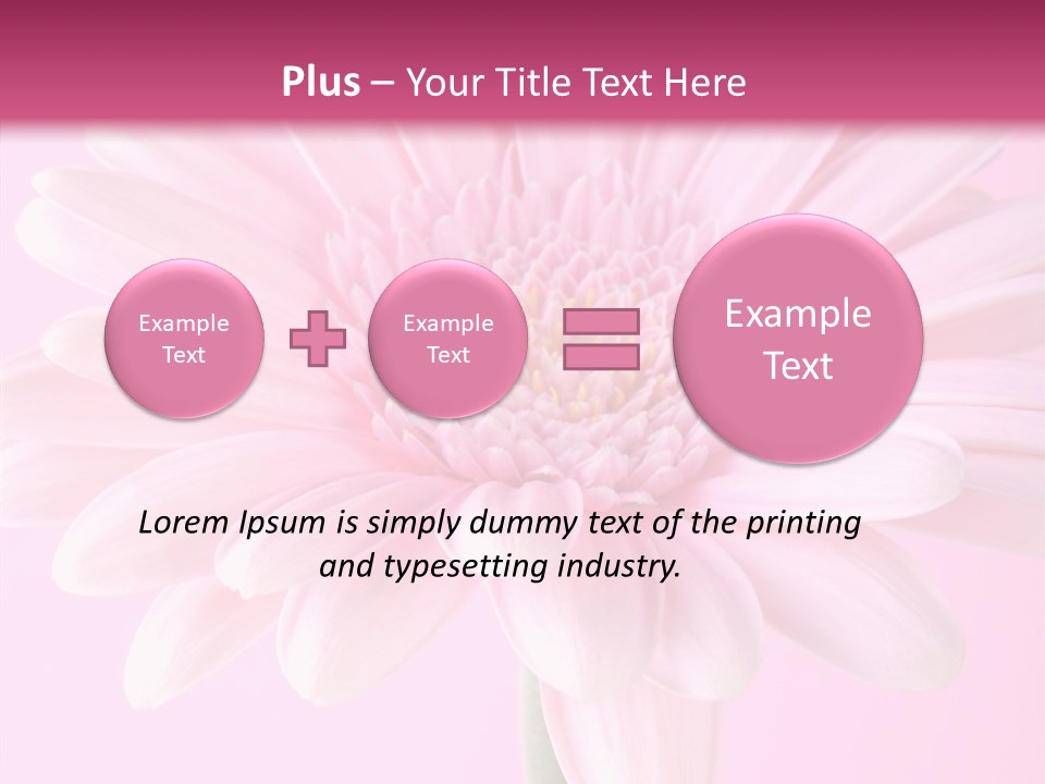 Daisy Circle Gerbera PowerPoint Template