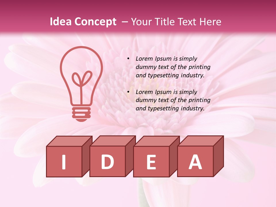Daisy Circle Gerbera PowerPoint Template