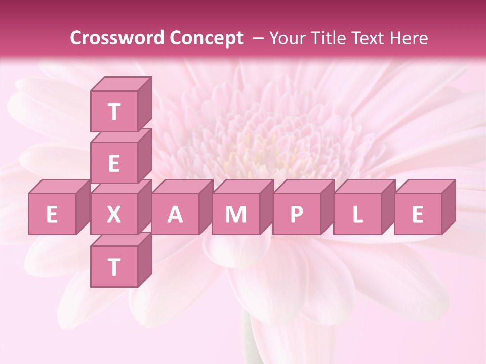 Daisy Circle Gerbera PowerPoint Template