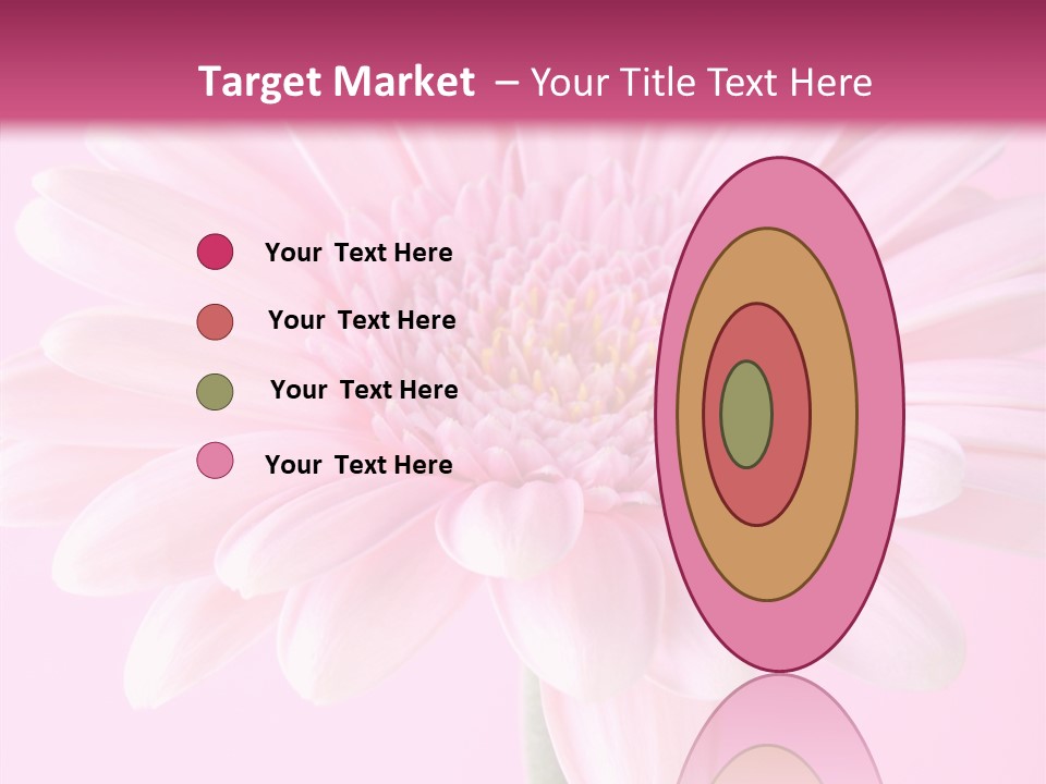 Daisy Circle Gerbera PowerPoint Template