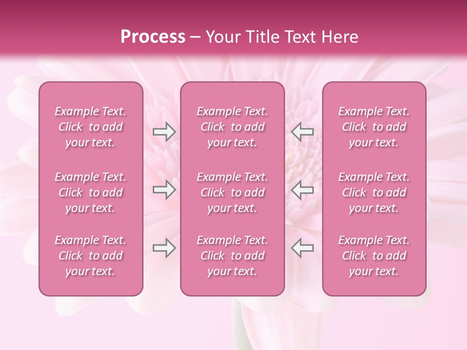 Daisy Circle Gerbera PowerPoint Template
