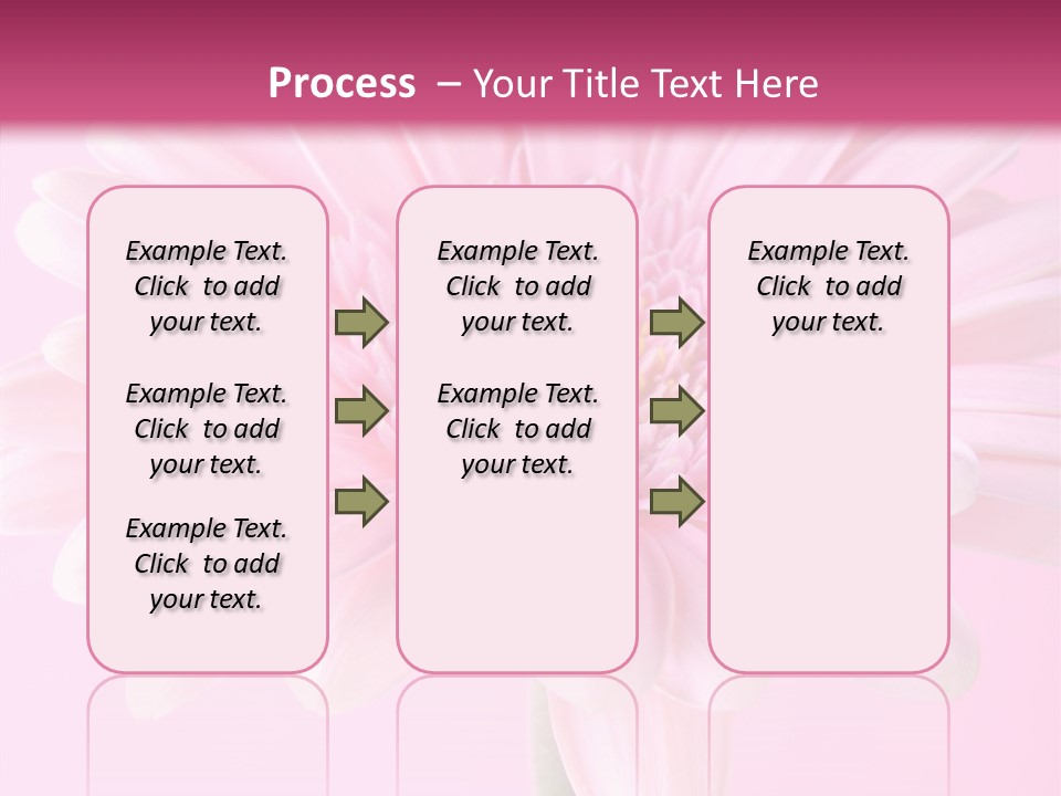 Daisy Circle Gerbera PowerPoint Template