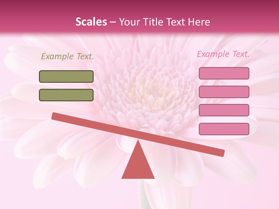 Daisy Circle Gerbera PowerPoint Template