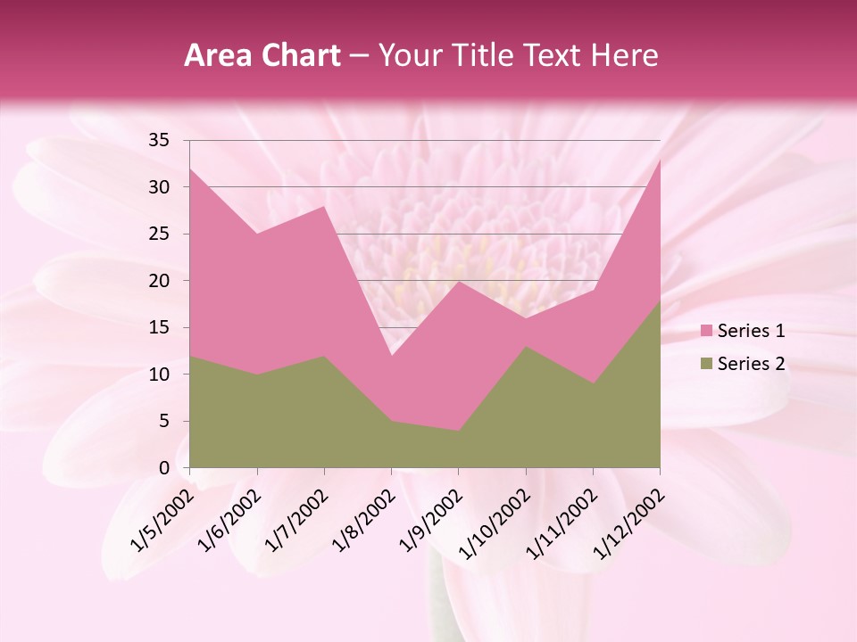 Daisy Circle Gerbera PowerPoint Template