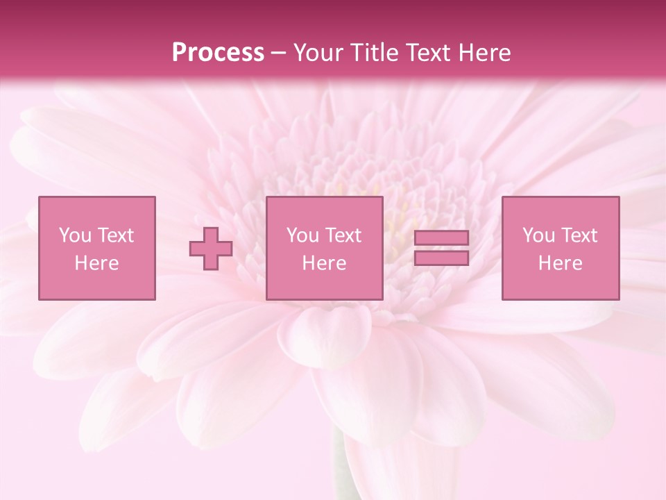 Daisy Circle Gerbera PowerPoint Template