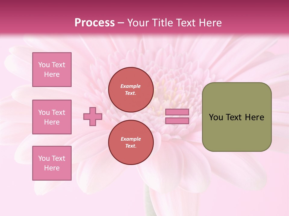 Daisy Circle Gerbera PowerPoint Template