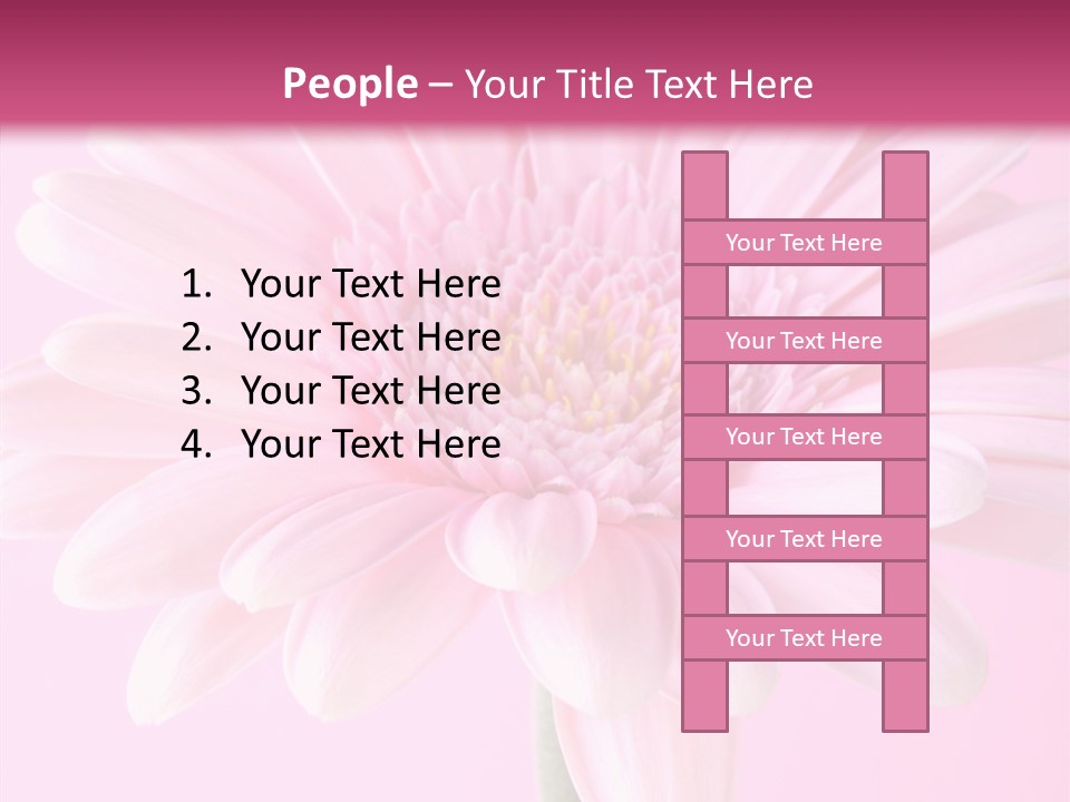 Daisy Circle Gerbera PowerPoint Template