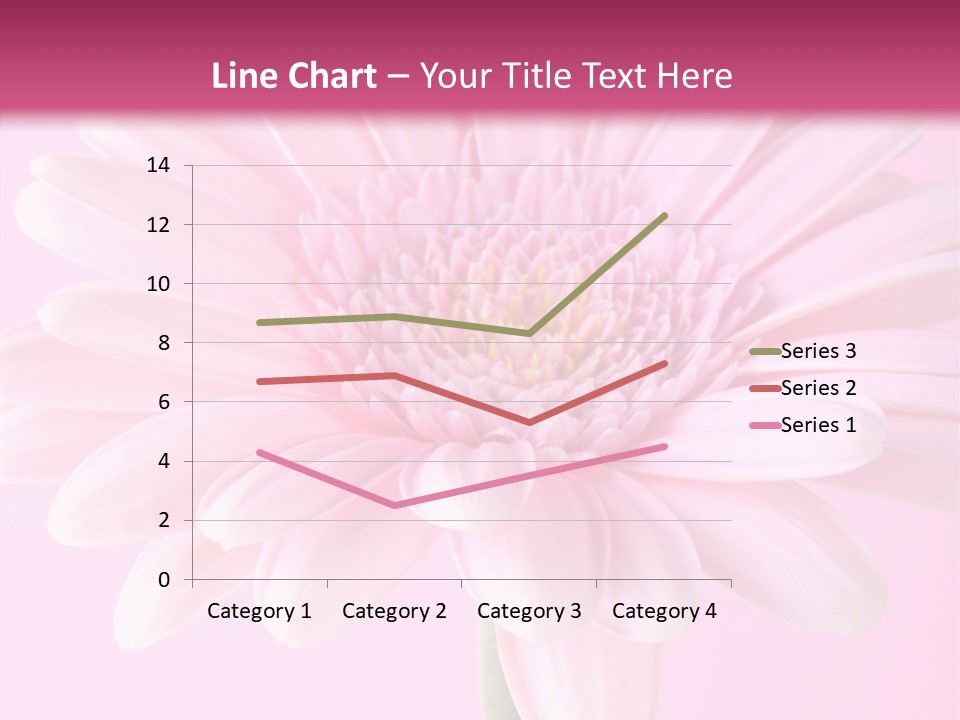 Daisy Circle Gerbera PowerPoint Template