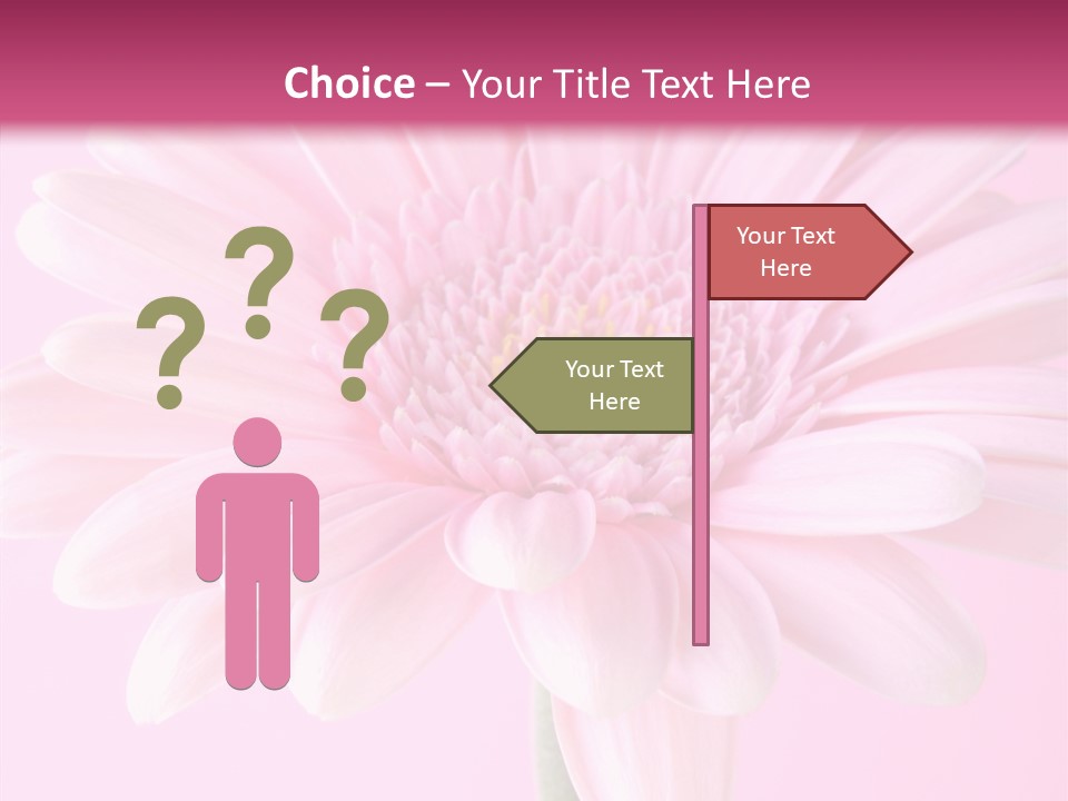 Daisy Circle Gerbera PowerPoint Template
