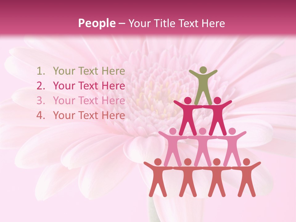 Daisy Circle Gerbera PowerPoint Template