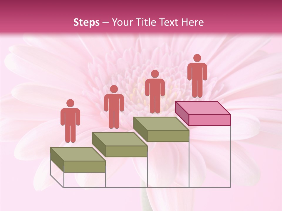 Daisy Circle Gerbera PowerPoint Template