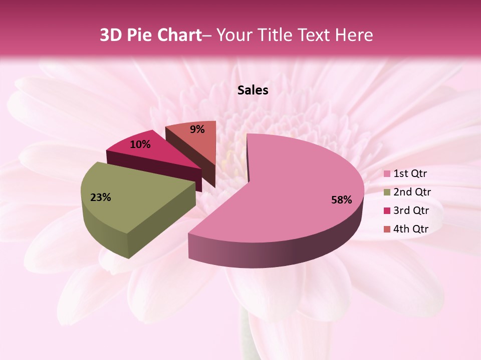 Daisy Circle Gerbera PowerPoint Template