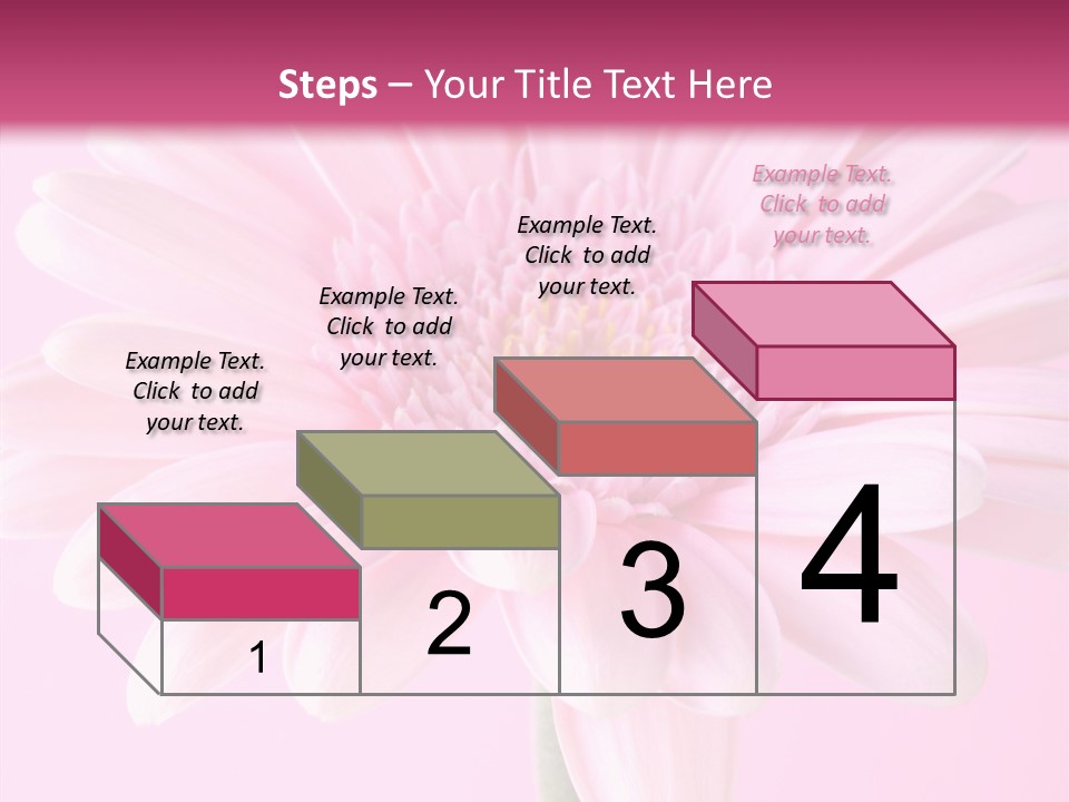 Daisy Circle Gerbera PowerPoint Template