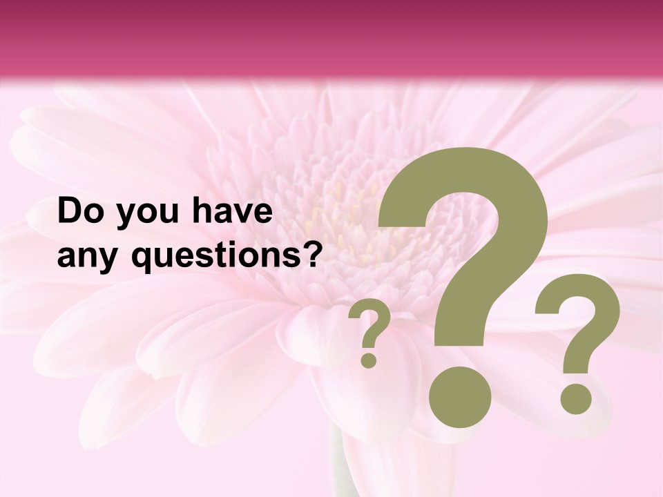 Daisy Circle Gerbera PowerPoint Template