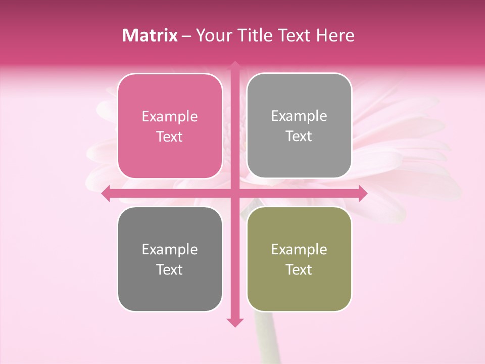 Isolated Circle Bloom PowerPoint Template