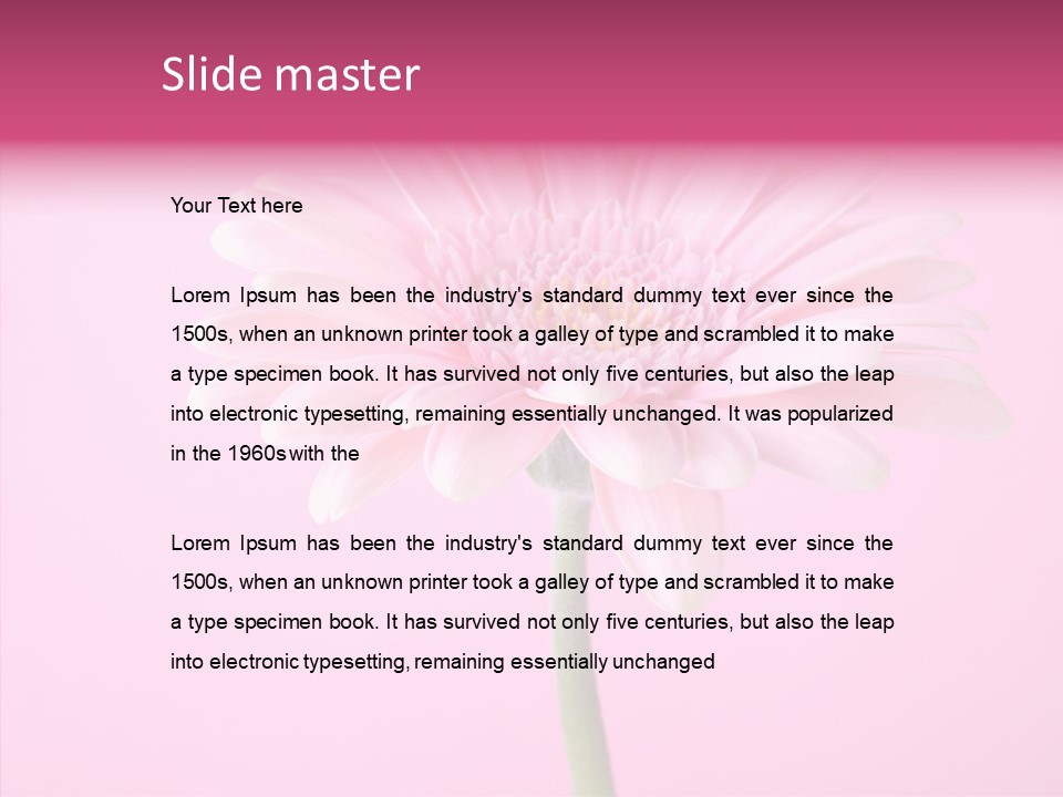 Isolated Circle Bloom PowerPoint Template