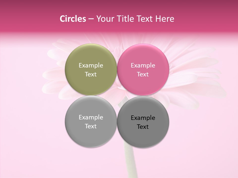 Isolated Circle Bloom PowerPoint Template
