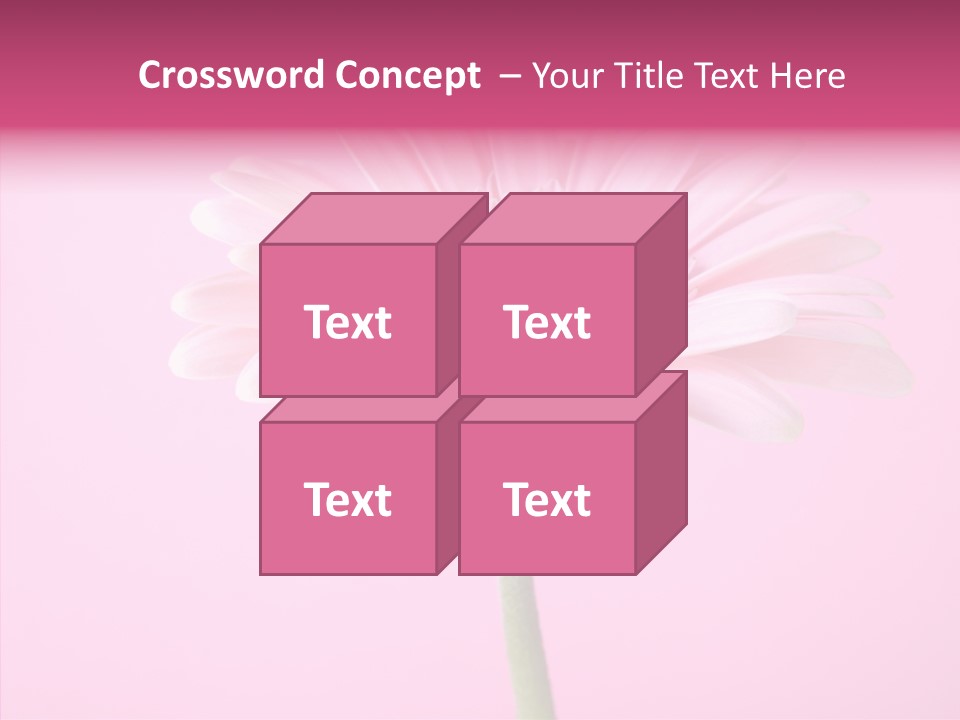 Isolated Circle Bloom PowerPoint Template