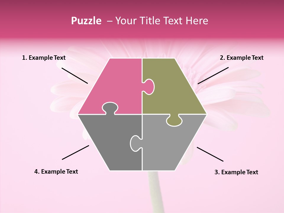 Isolated Circle Bloom PowerPoint Template