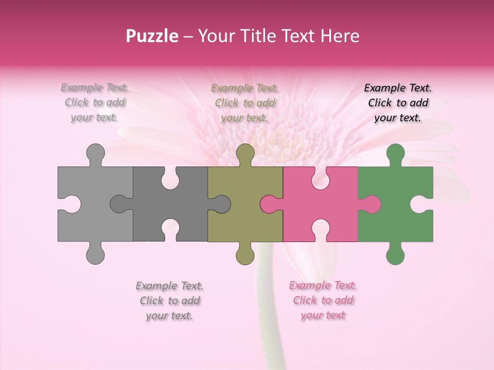 Isolated Circle Bloom PowerPoint Template