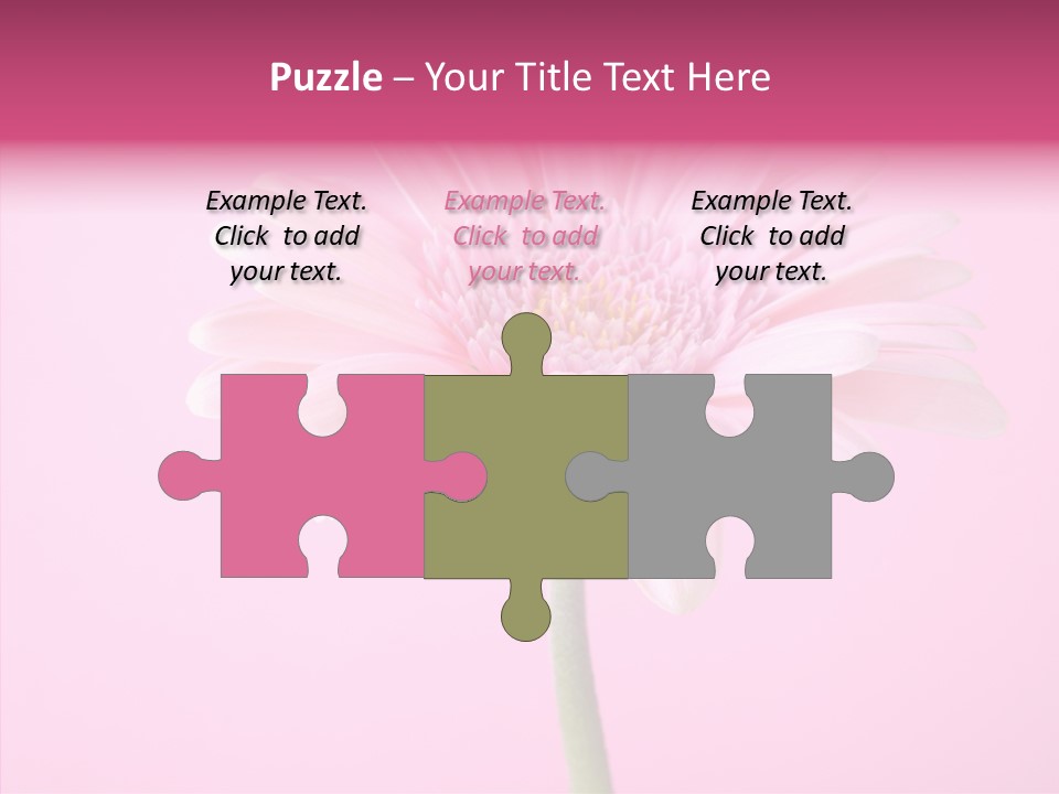 Isolated Circle Bloom PowerPoint Template
