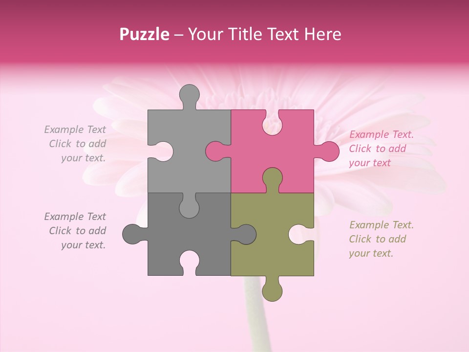 Isolated Circle Bloom PowerPoint Template