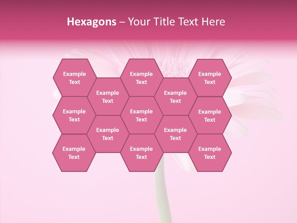 Isolated Circle Bloom PowerPoint Template