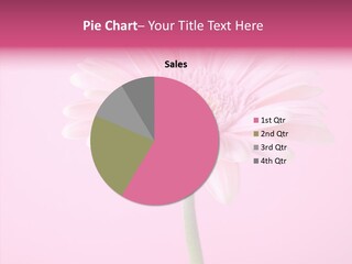Isolated Circle Bloom PowerPoint Template