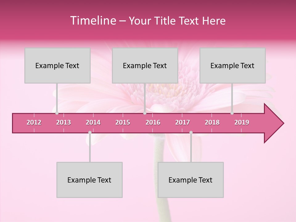 Isolated Circle Bloom PowerPoint Template