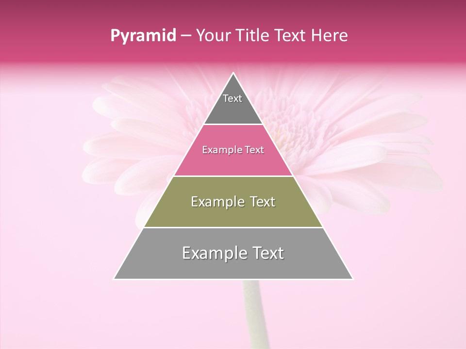 Isolated Circle Bloom PowerPoint Template