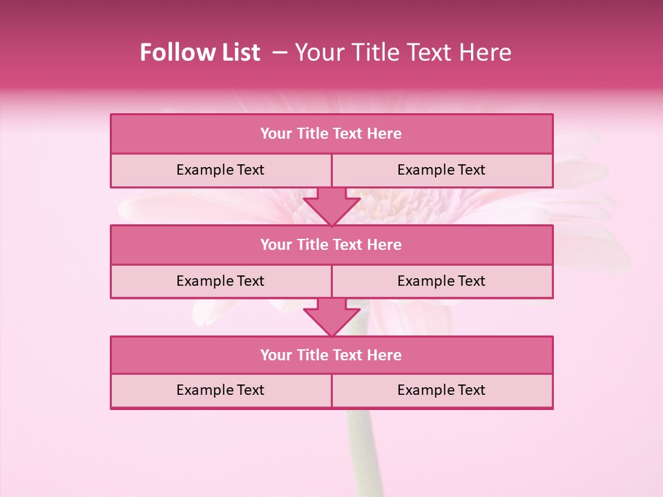 Isolated Circle Bloom PowerPoint Template