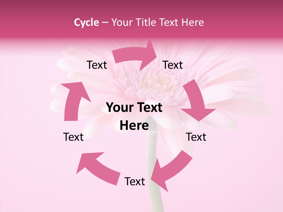Isolated Circle Bloom PowerPoint Template