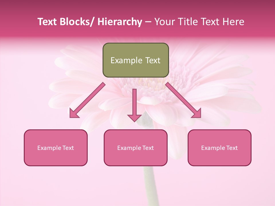 Isolated Circle Bloom PowerPoint Template