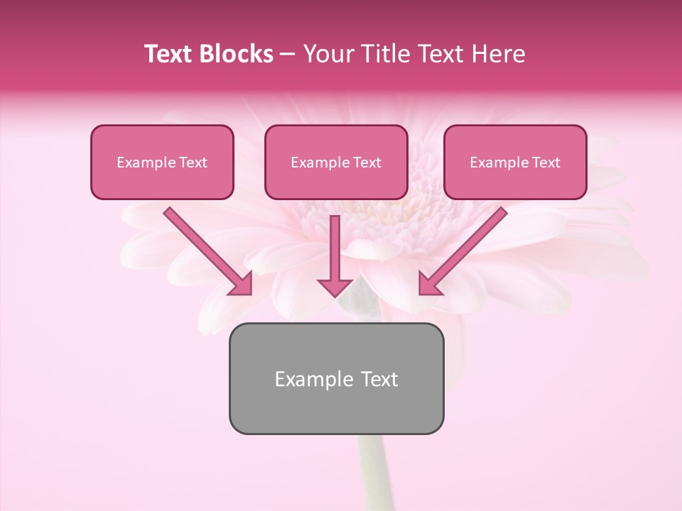 Isolated Circle Bloom PowerPoint Template