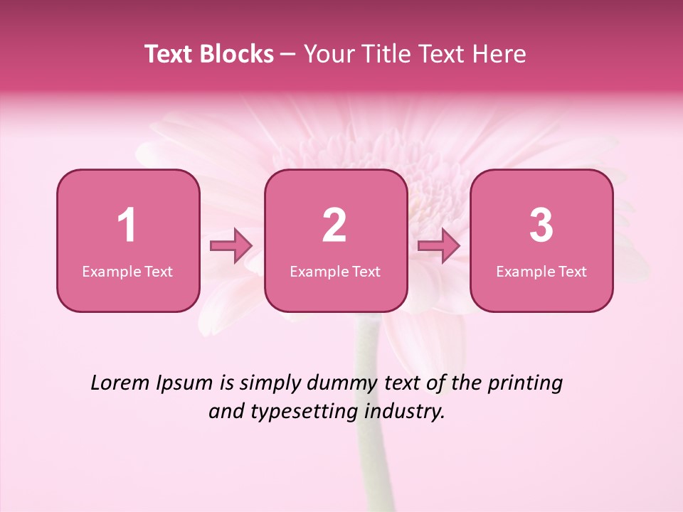 Isolated Circle Bloom PowerPoint Template