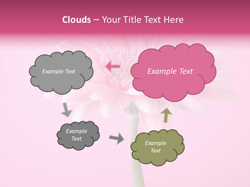 Isolated Circle Bloom PowerPoint Template