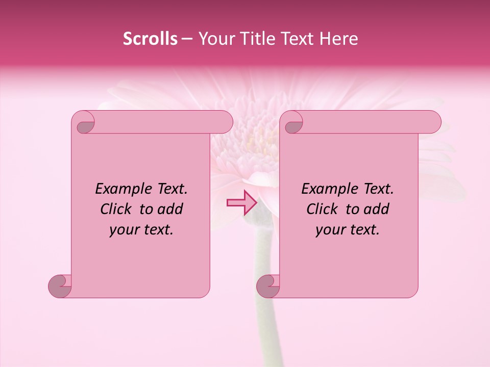 Isolated Circle Bloom PowerPoint Template