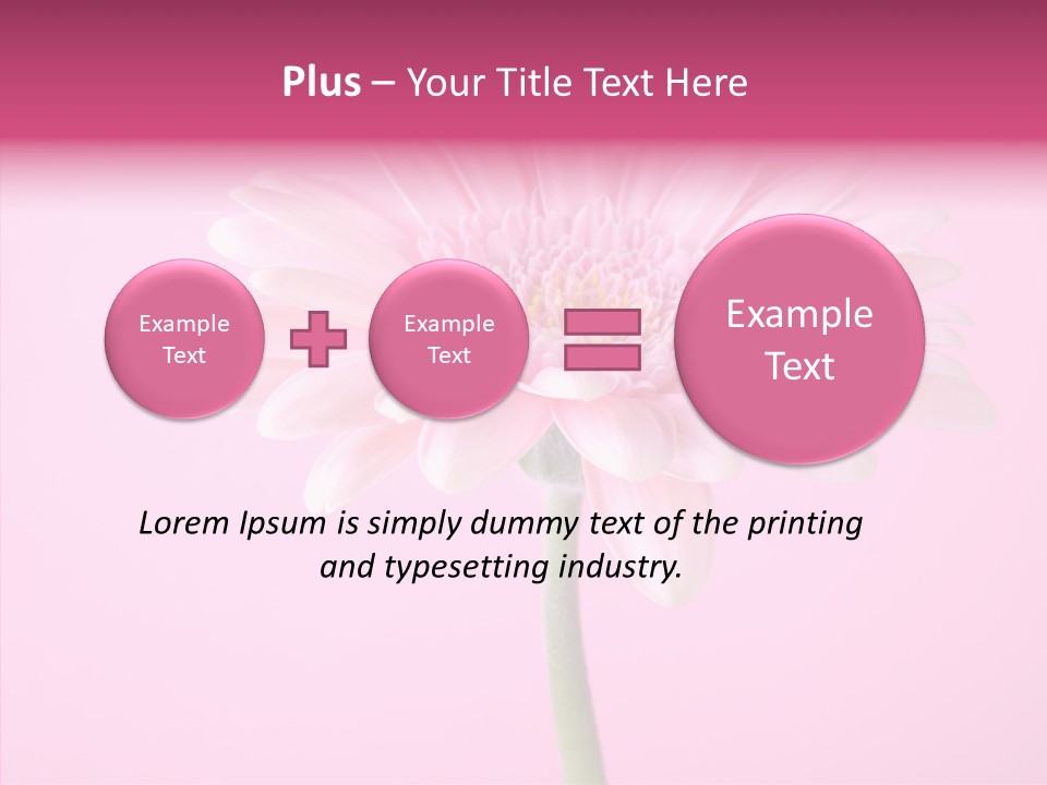 Isolated Circle Bloom PowerPoint Template