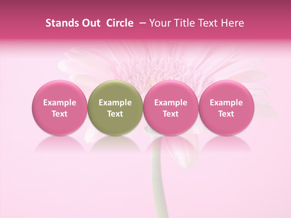 Isolated Circle Bloom PowerPoint Template