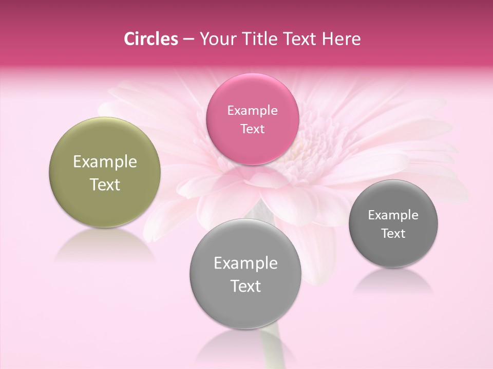 Isolated Circle Bloom PowerPoint Template