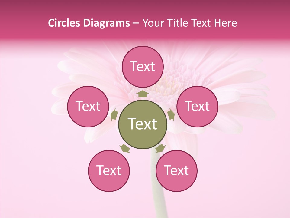 Isolated Circle Bloom PowerPoint Template