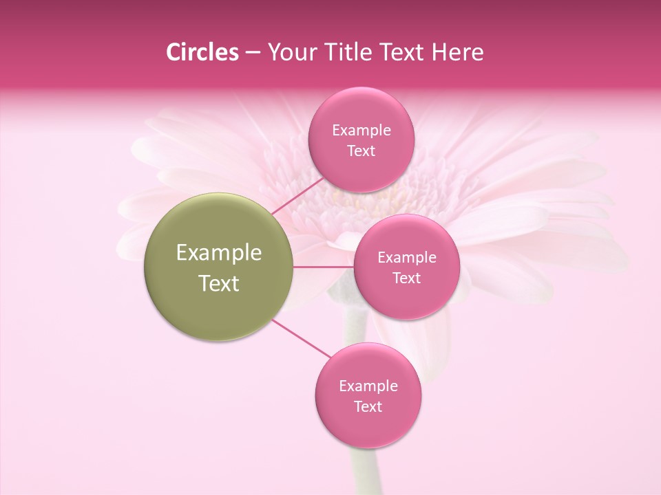 Isolated Circle Bloom PowerPoint Template