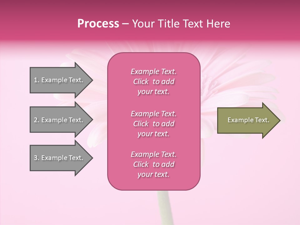 Isolated Circle Bloom PowerPoint Template