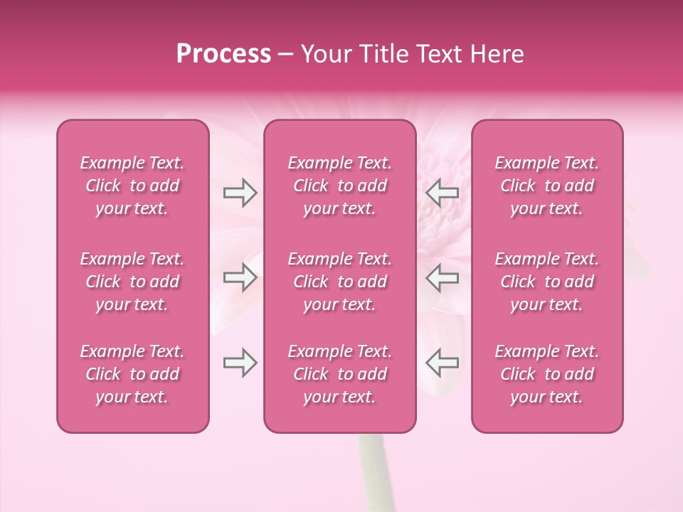 Isolated Circle Bloom PowerPoint Template