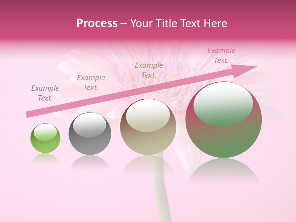 Isolated Circle Bloom PowerPoint Template