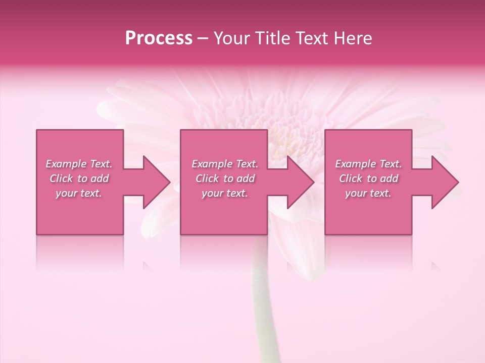 Isolated Circle Bloom PowerPoint Template