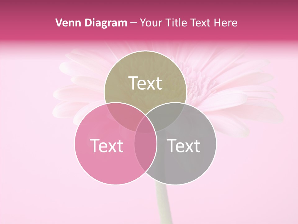 Isolated Circle Bloom PowerPoint Template