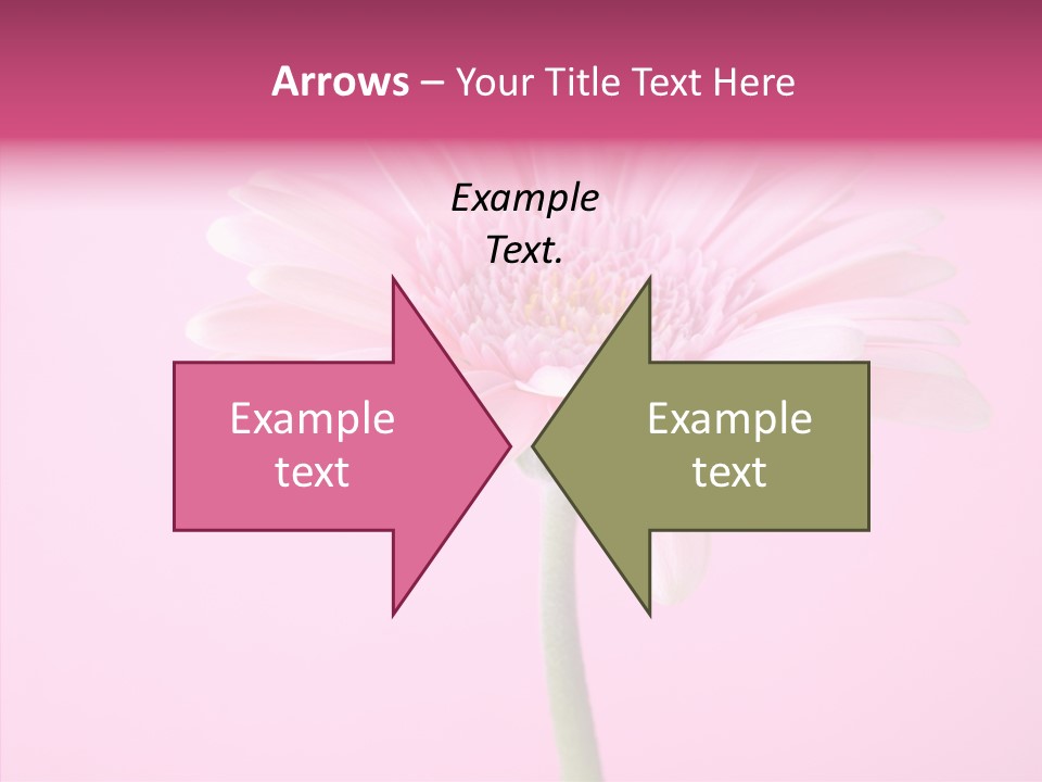 Isolated Circle Bloom PowerPoint Template