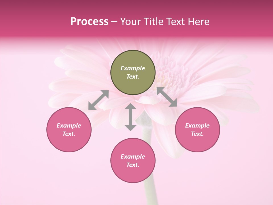 Isolated Circle Bloom PowerPoint Template
